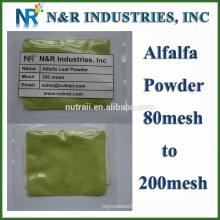 Pure and straight Alfalfa Grass Powder 80mesh to 200mesh without Dextrine